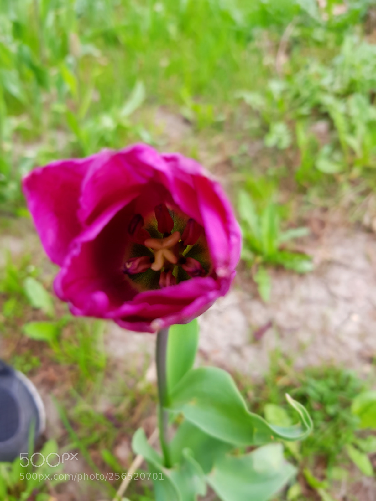 Samsung Galaxy S7 sample photo. Untitled photography