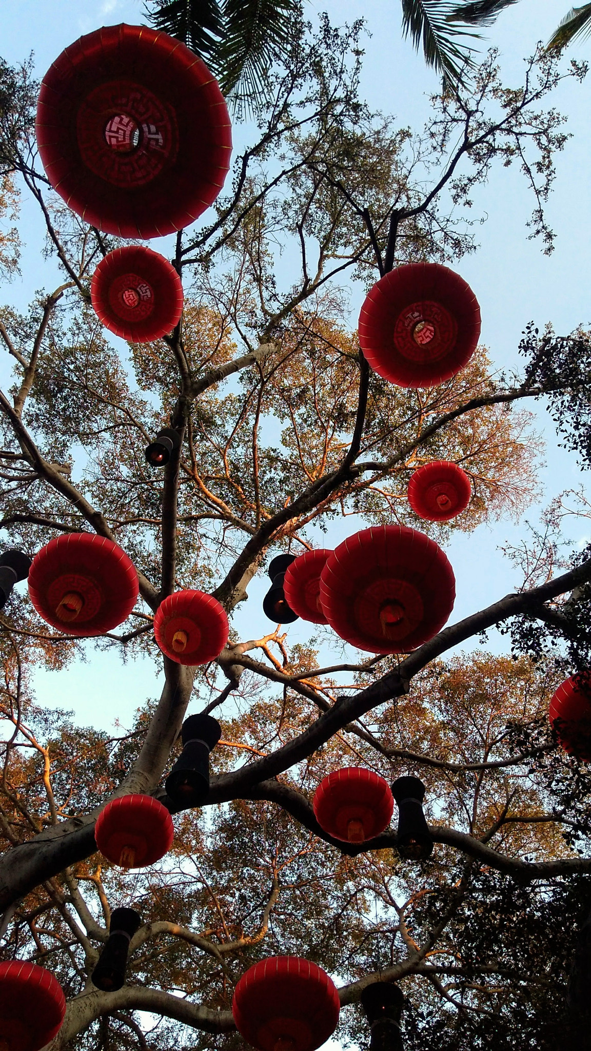 Motorola Moto G Play sample photo. The things in the sky photography
