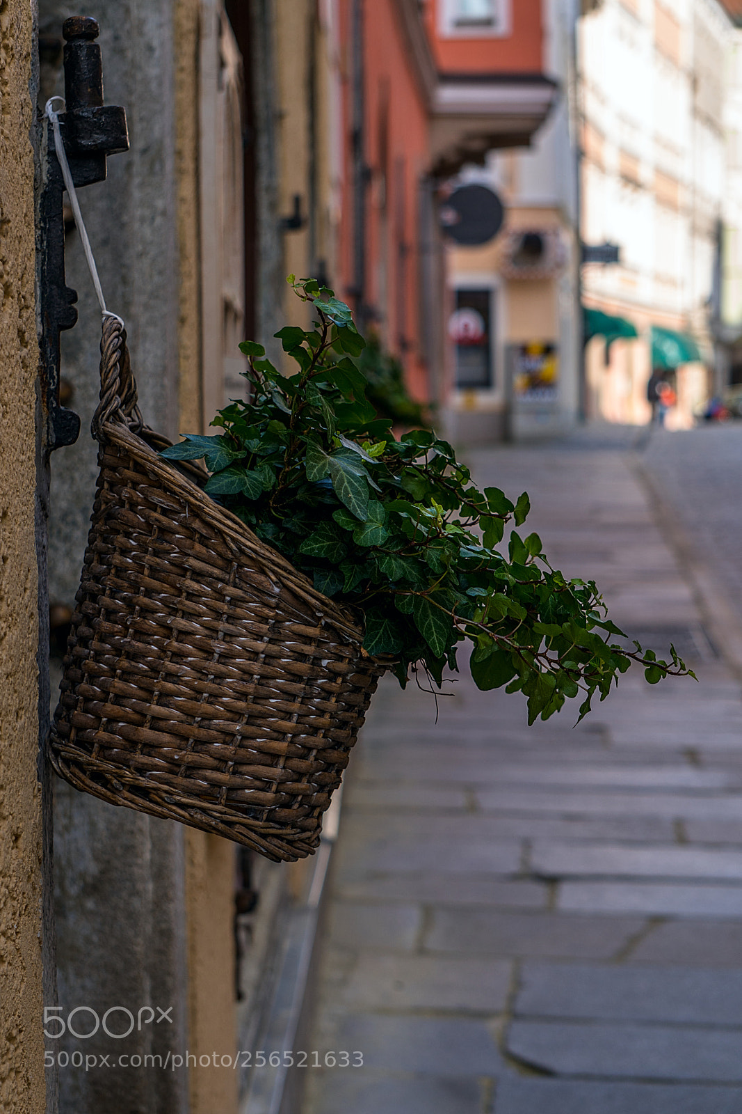 Sony a6300 sample photo. Nice photography