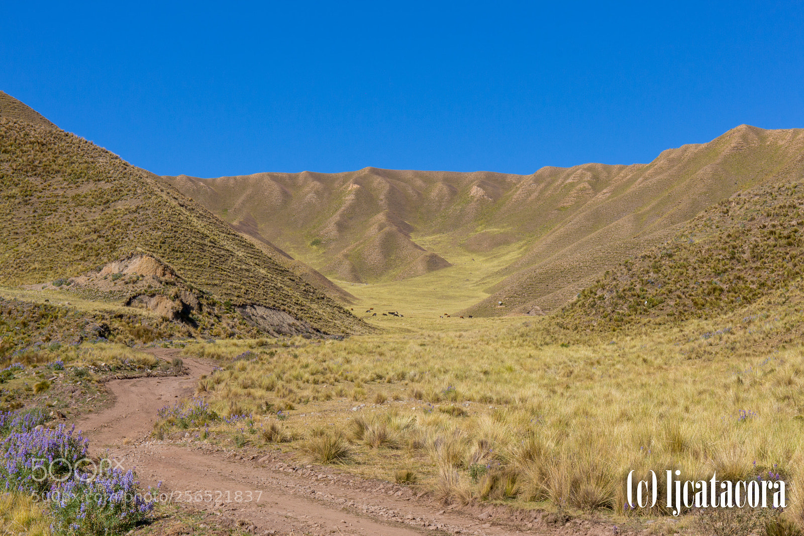 Canon EOS M sample photo. Final valle de las photography