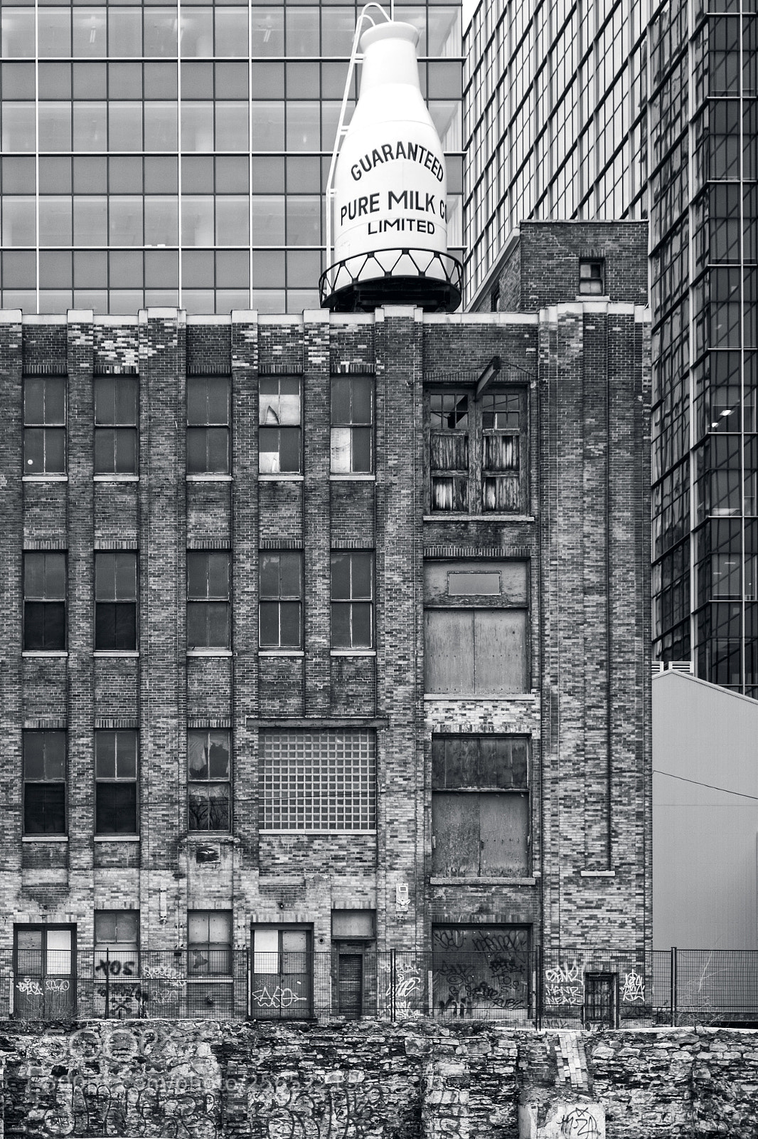Fujifilm X-M1 sample photo. Guaranteed pure milk, montreal photography
