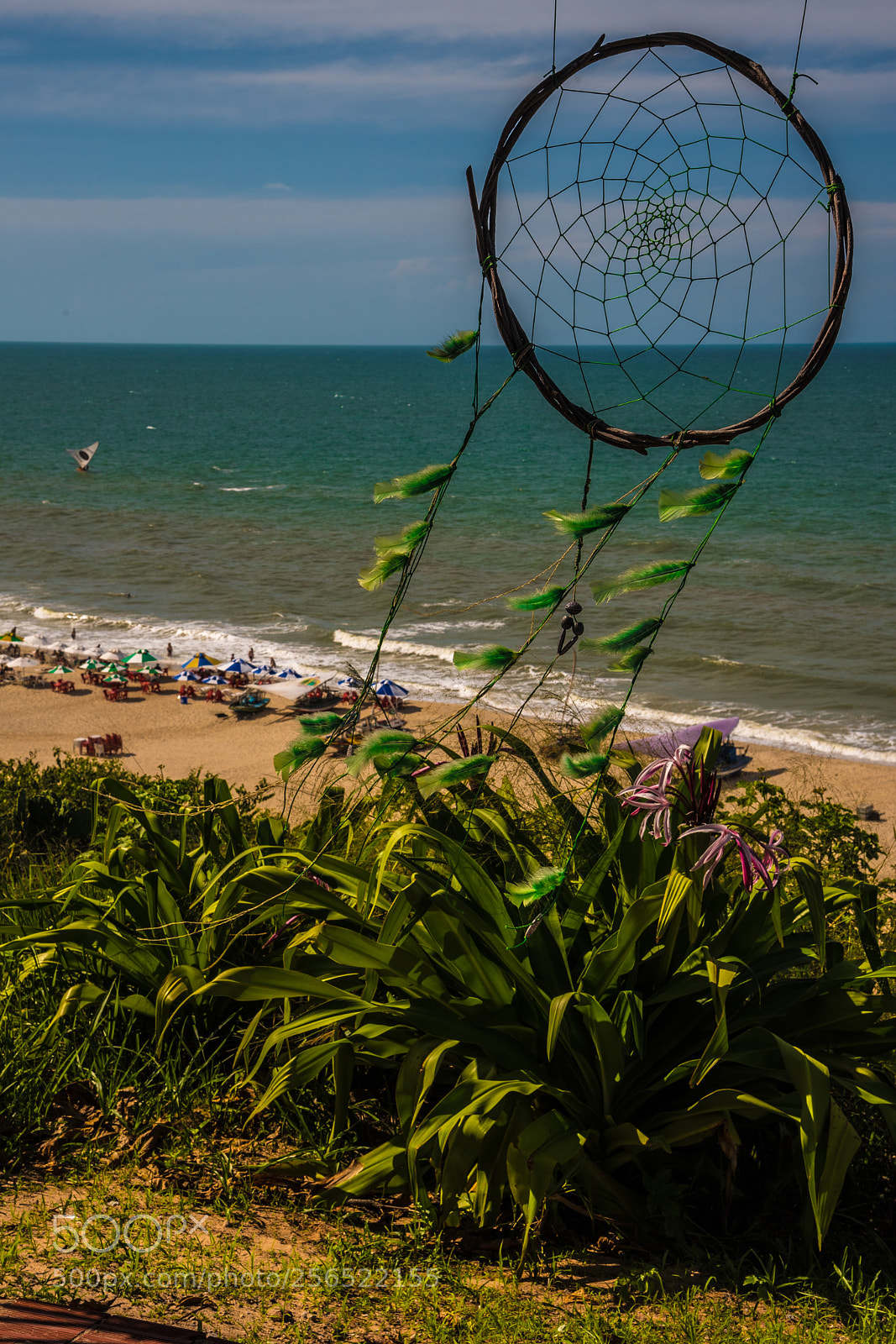 Nikon D750 sample photo. Dreamcatcher photography
