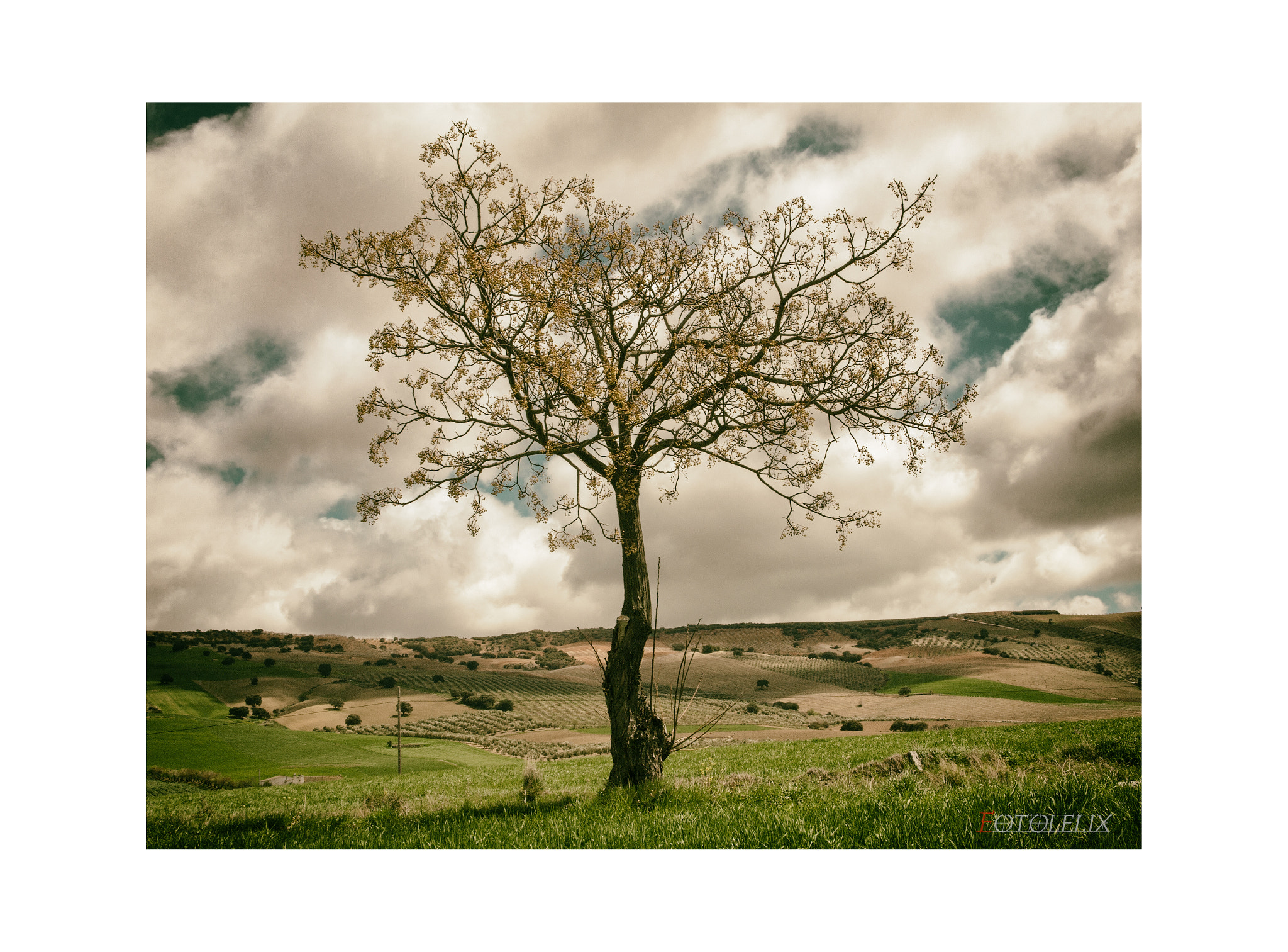 Olympus E-30 sample photo. Boticelli - spring photography