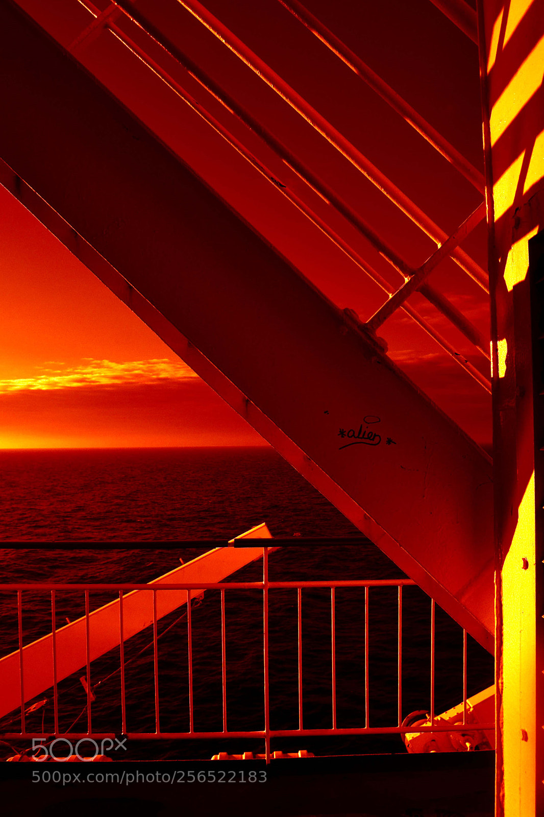 Nikon D3100 sample photo. On the baltic sea photography