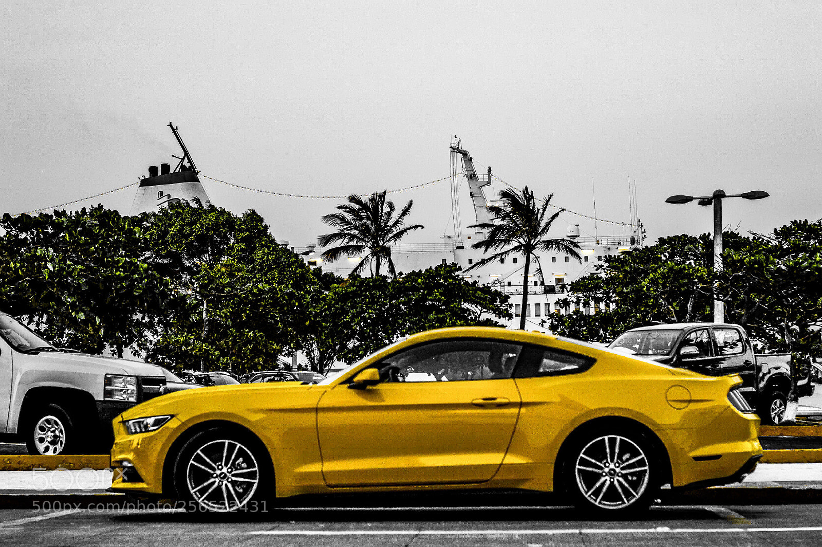 Nikon D3200 sample photo. Mustang photography