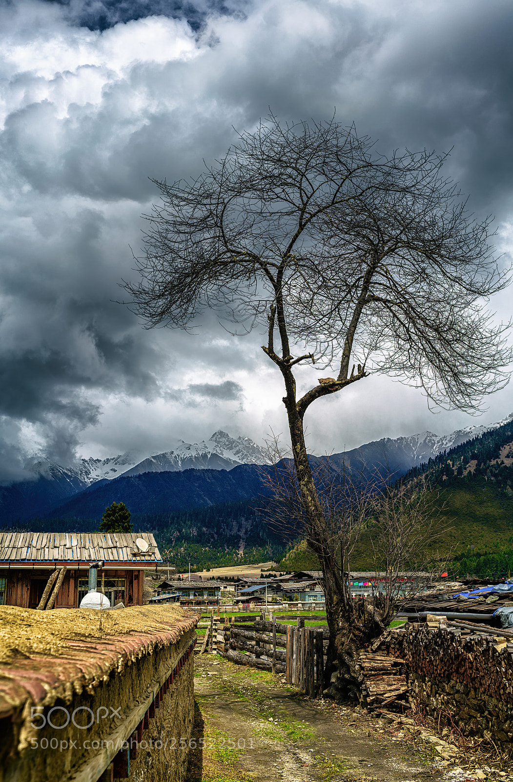 Sony a7R II sample photo. Zhaxigangcun (扎西岗村) photography