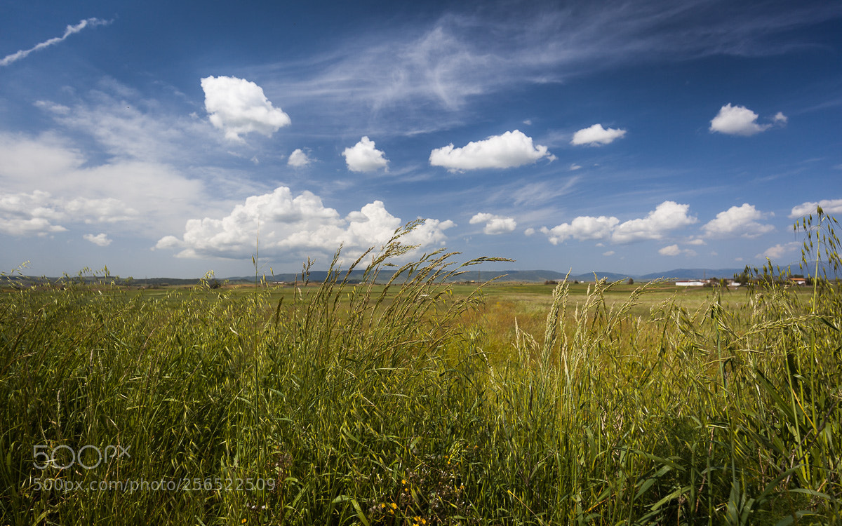 Canon EOS 5D Mark II sample photo. Untitled photography