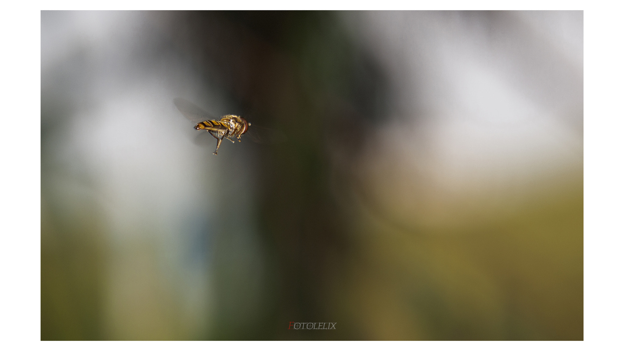 Olympus E-30 sample photo. On the flight photography