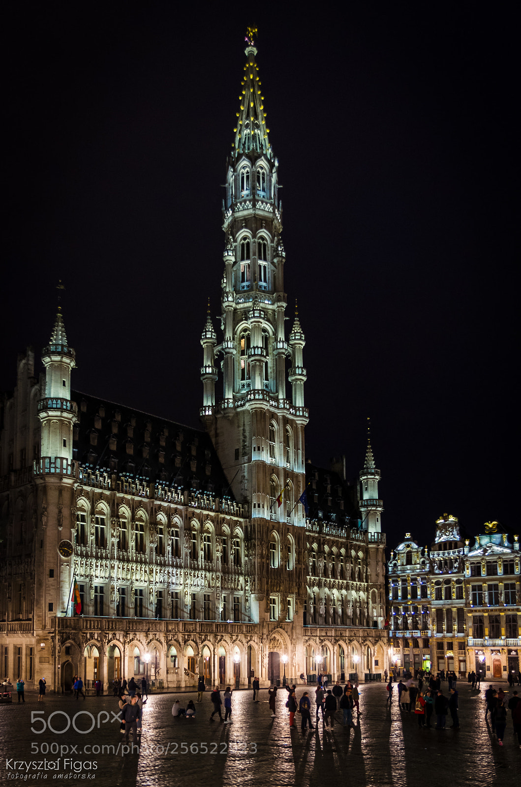 Nikon D5100 sample photo. Brussels city hall photography