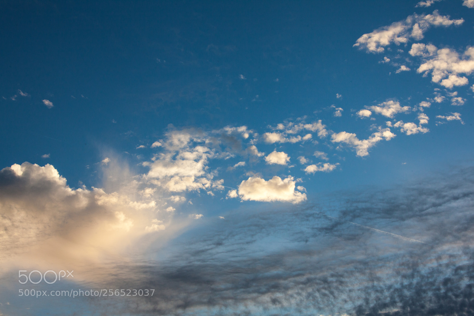 Canon EOS 5D Mark II sample photo. Untitled photography