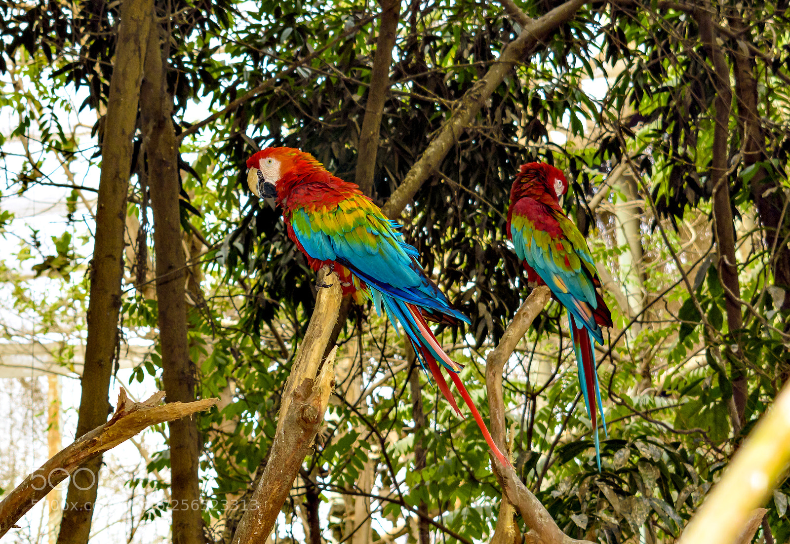Nikon D7200 sample photo. Dsc photography