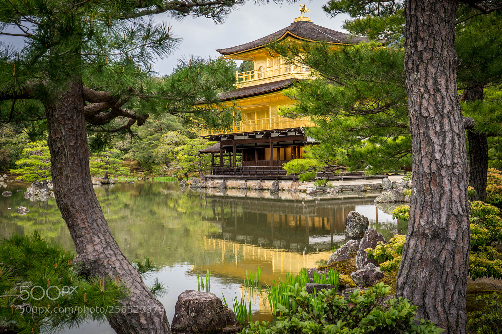 Sony a7 sample photo. Kinkaku-ji...the temple of the photography