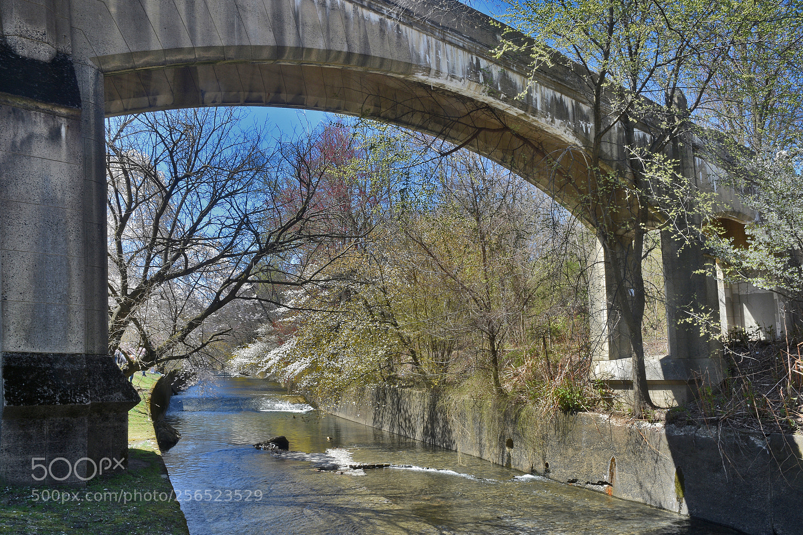 Nikon D3400 sample photo. Branch brook bridge photography