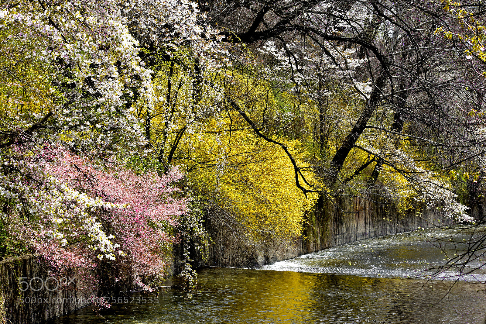 Nikon D3400 sample photo. Branch brook creek () photography