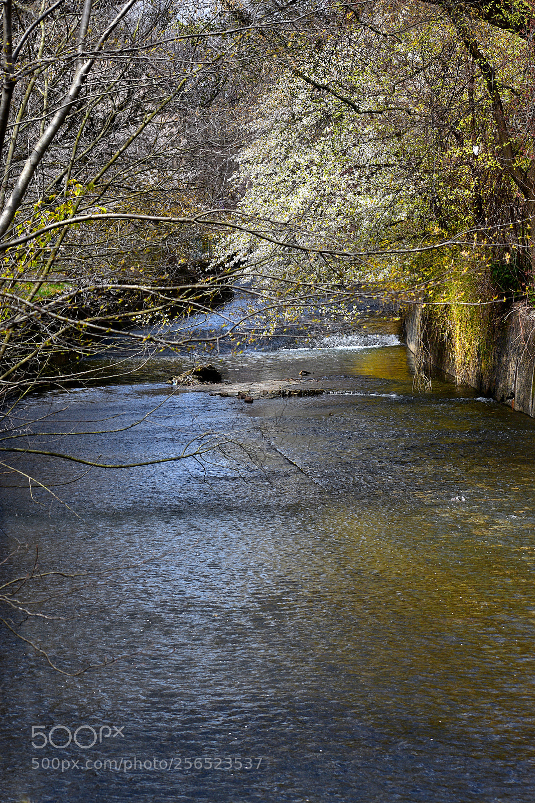 Nikon D3400 sample photo. Branch brook creek photography