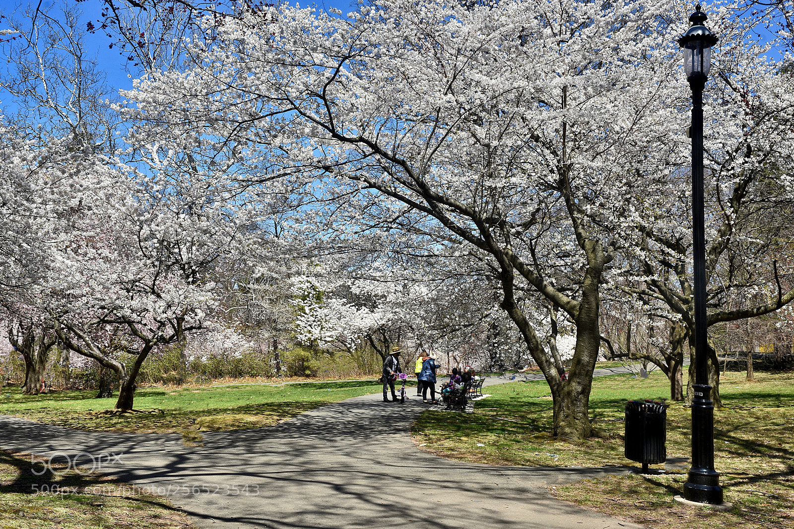 Nikon D3400 sample photo. Branch brookl park visitors photography