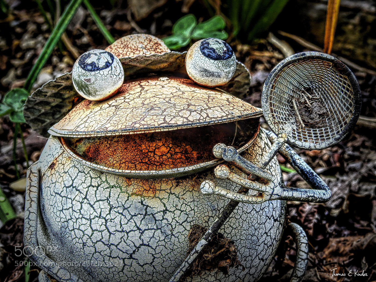 Nikon Coolpix P900 sample photo. Rusted frogger photography