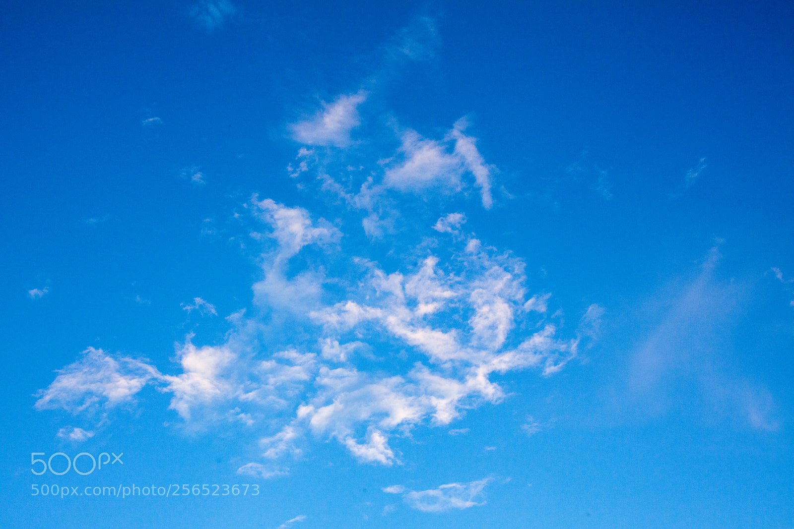 Canon EOS 5D Mark II sample photo. Untitled photography