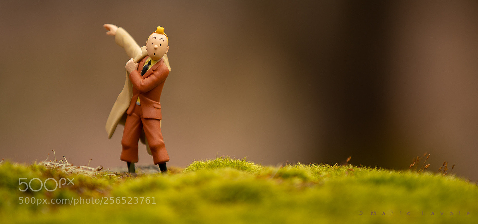 Canon EOS 6D Mark II sample photo. Tintin photography