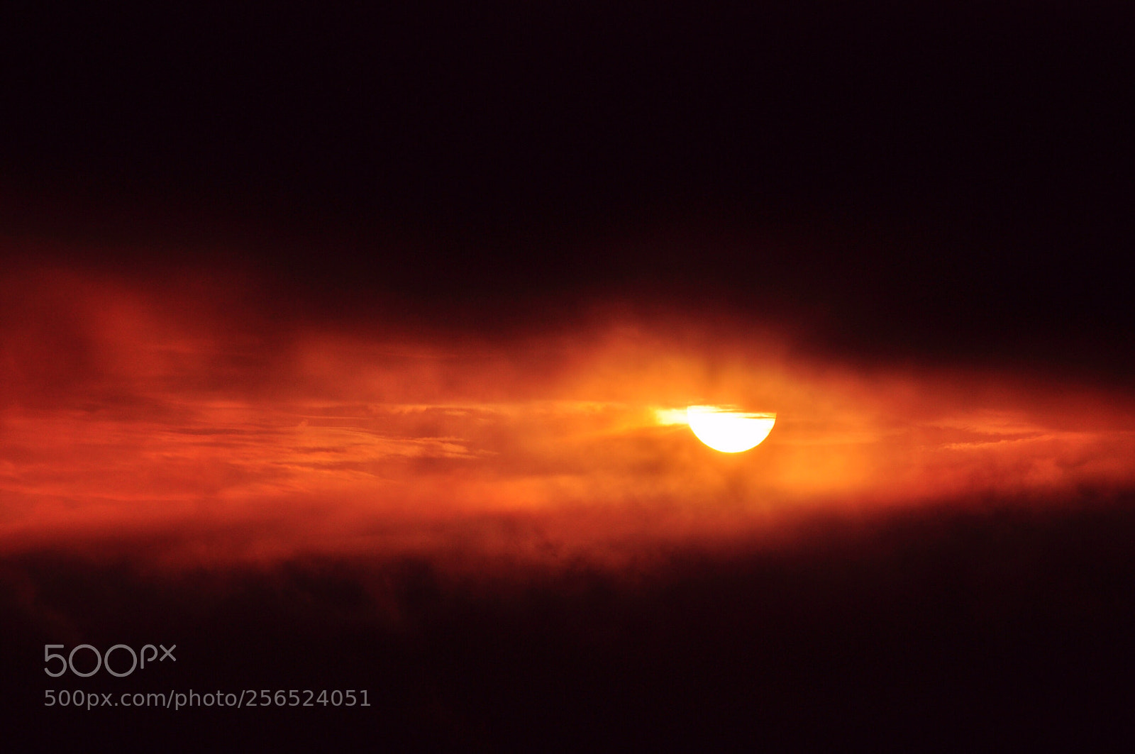 Nikon D5000 sample photo. Misty sunset photography