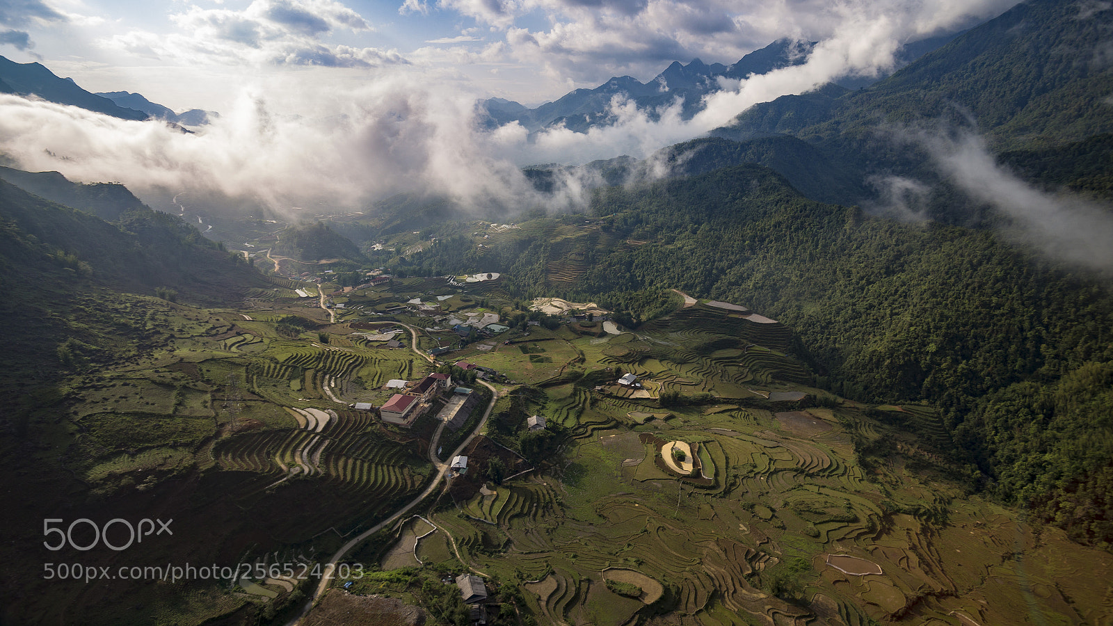 Canon EOS 6D sample photo. Rice fields in sapa photography