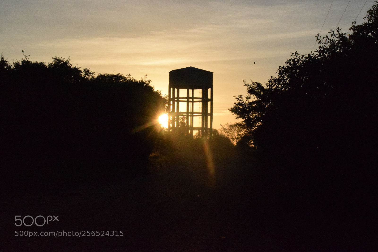 Nikon D3300 sample photo. Sunset photography