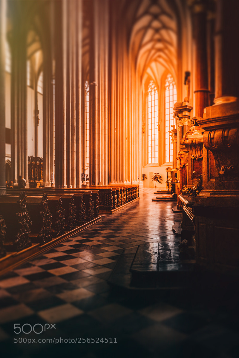 Nikon D850 sample photo. Church photography