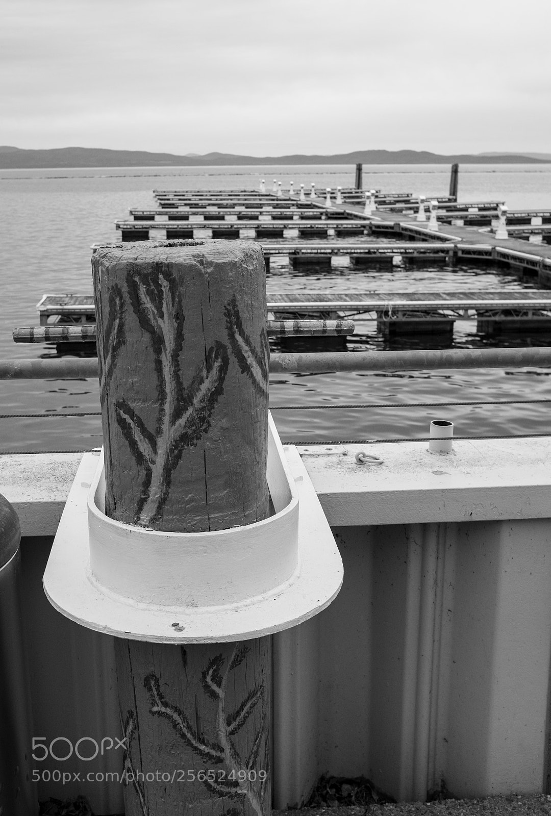 Fujifilm X100T sample photo. Echo docks bnw photography