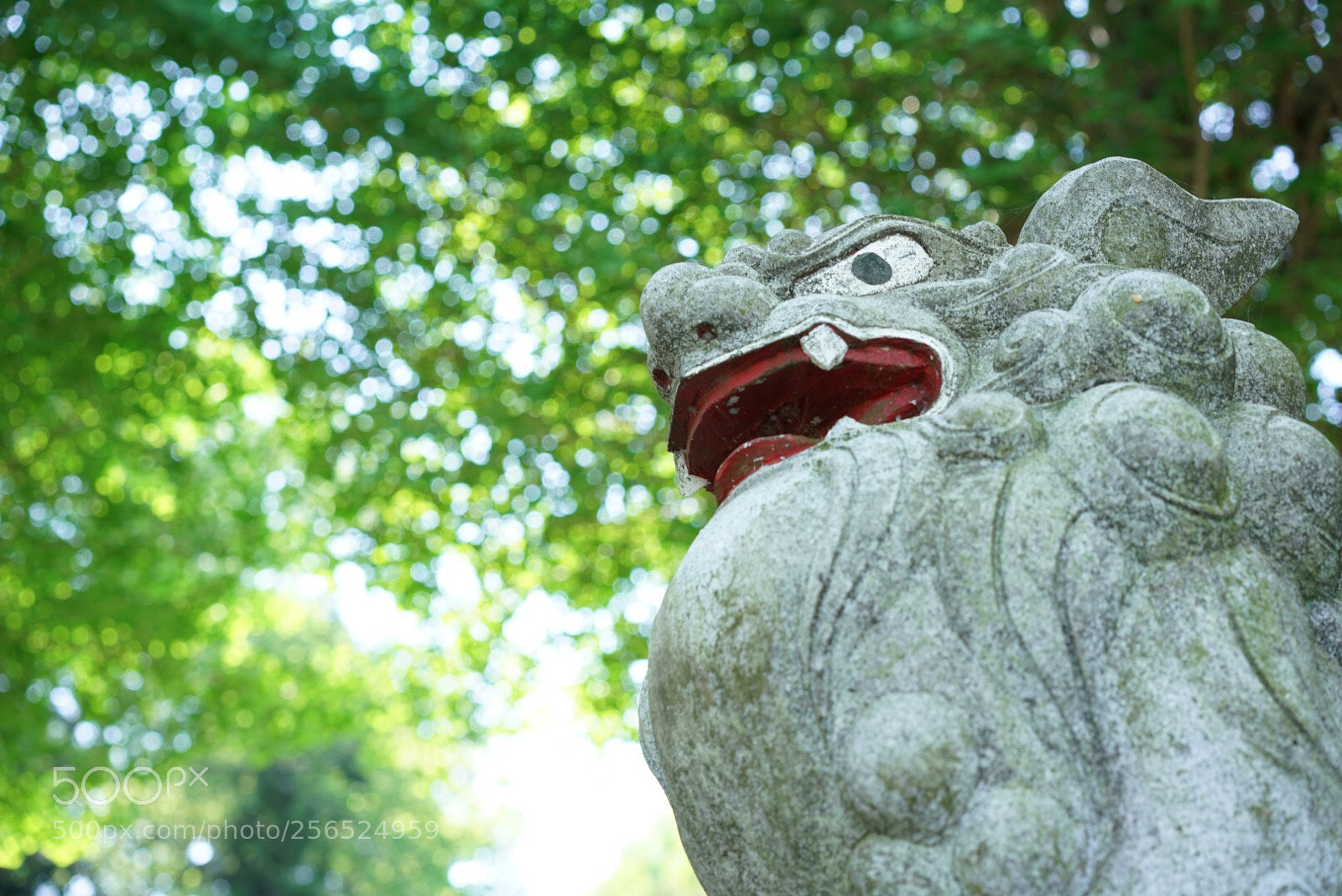 Sony a7R II sample photo. Untitled photography