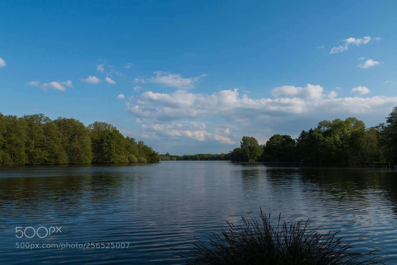 Canon EOS 70D sample photo. De witt see photography