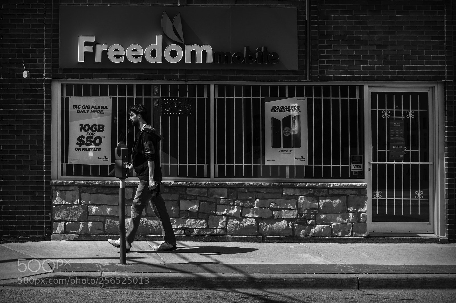 Nikon D500 sample photo. Freedom. windsor, on. photography