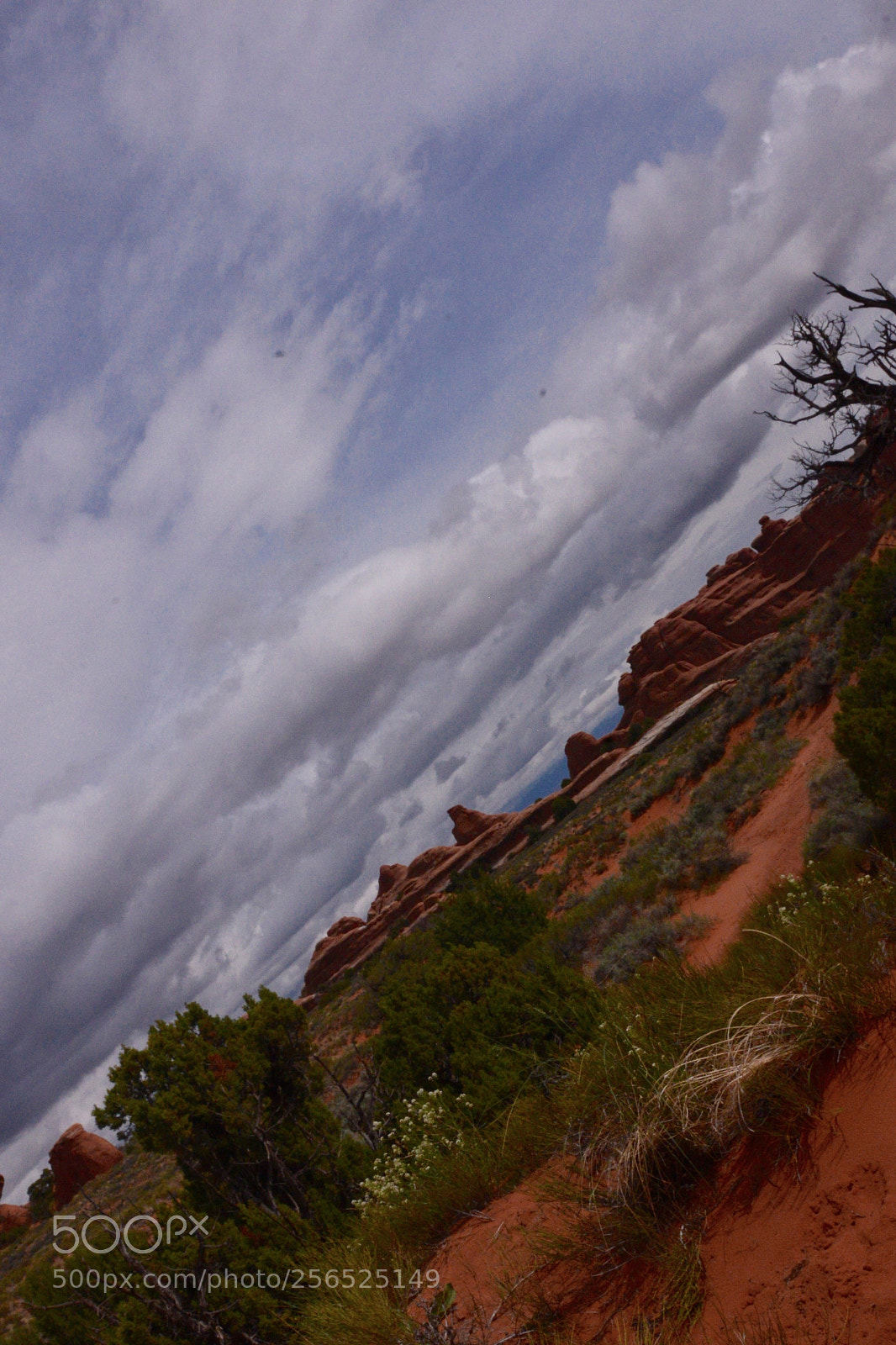 Nikon D610 sample photo. Tilted desert photography