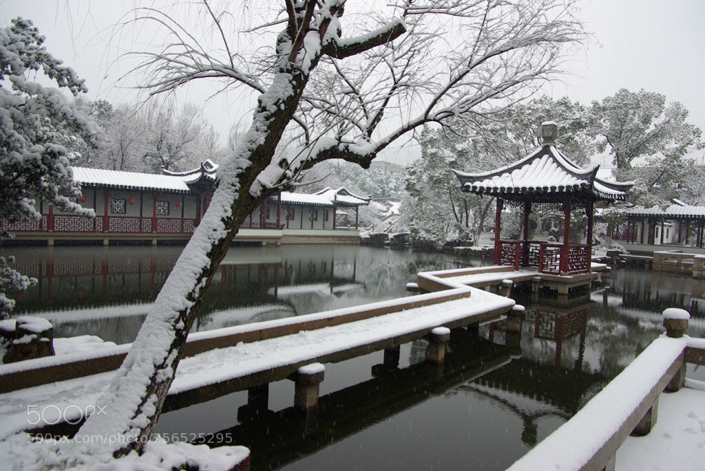 Pentax K10D sample photo. Untitled photography