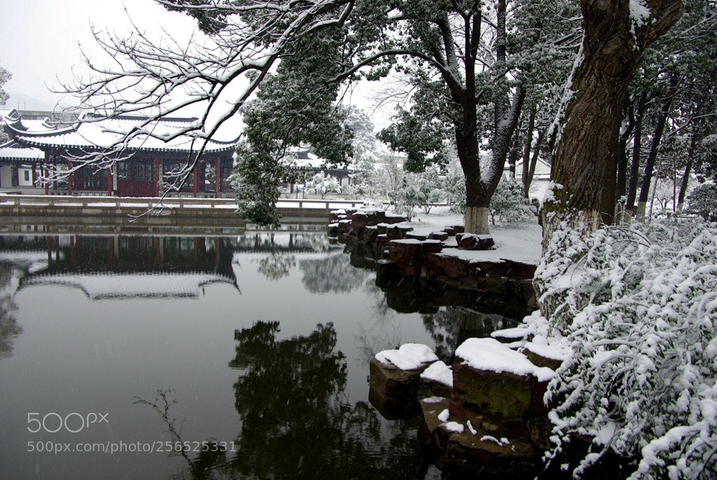 Pentax K10D sample photo. Untitled photography