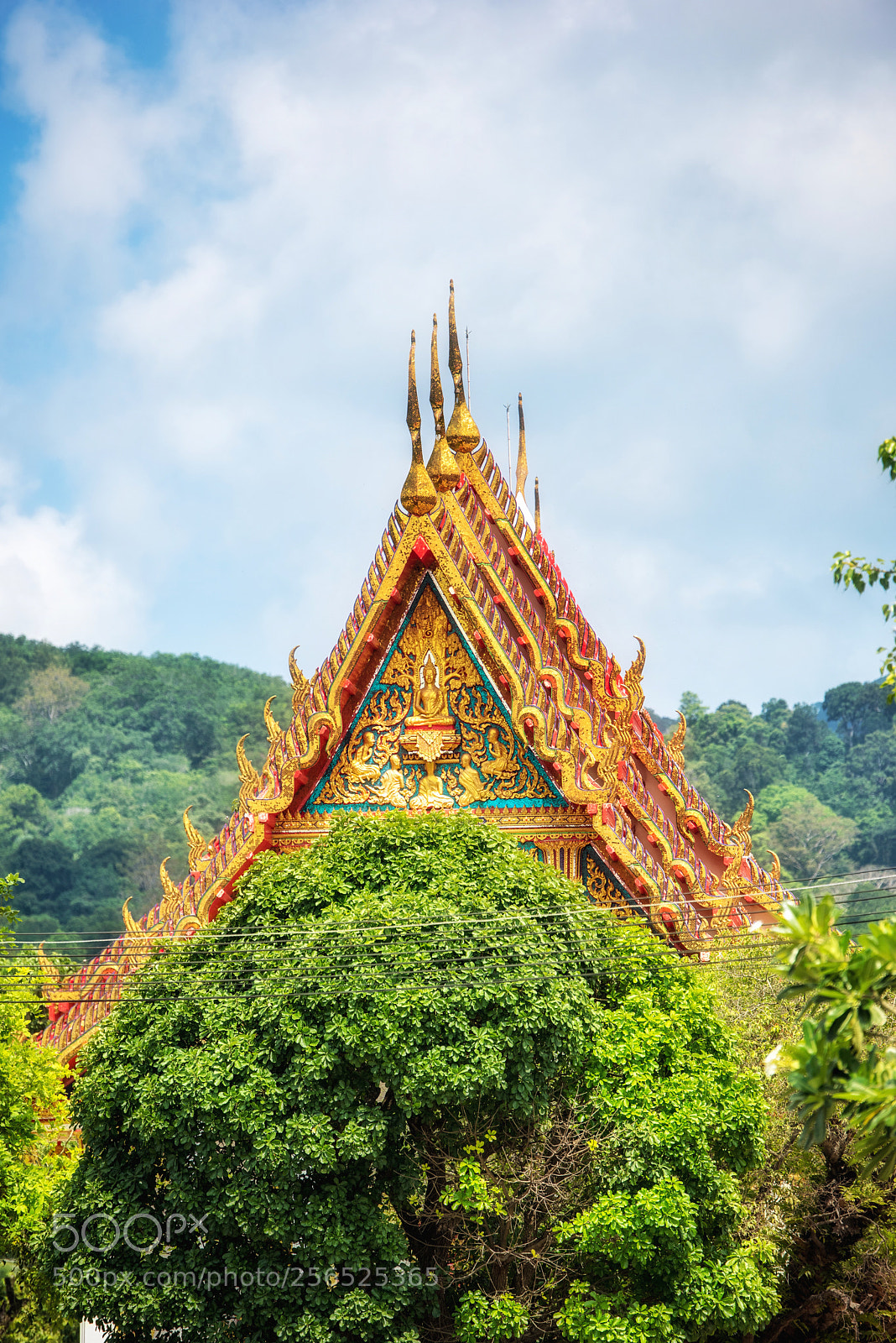 Nikon D810 sample photo. Wat chalong temple photography