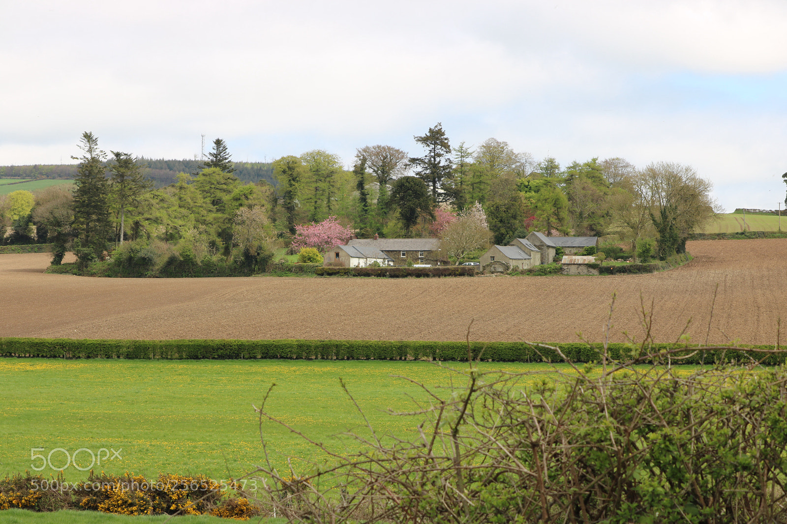 Canon EOS 760D (EOS Rebel T6s / EOS 8000D) sample photo. Farmhouse in trees photography