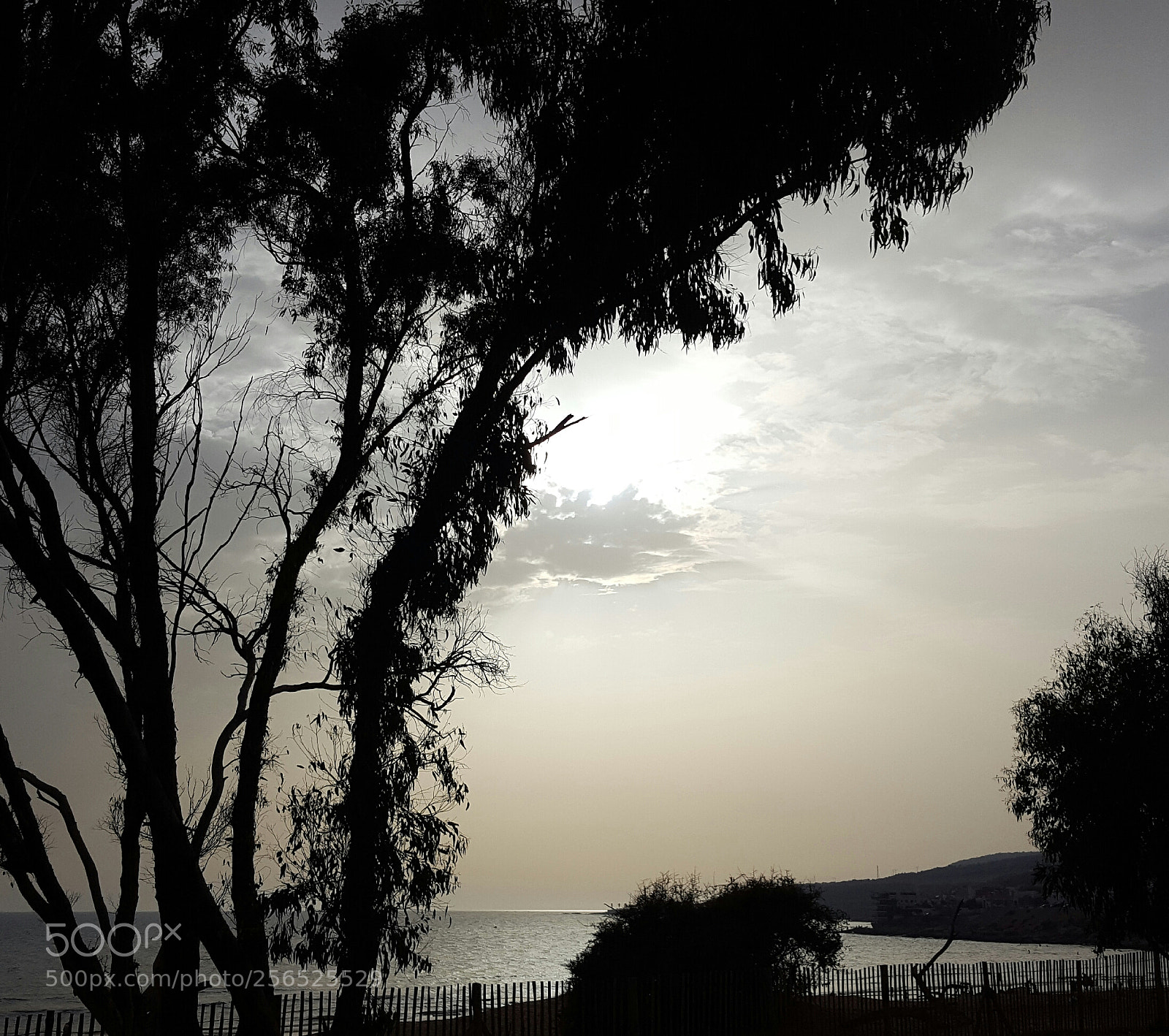 Samsung Galaxy S6 sample photo. Untitled photography