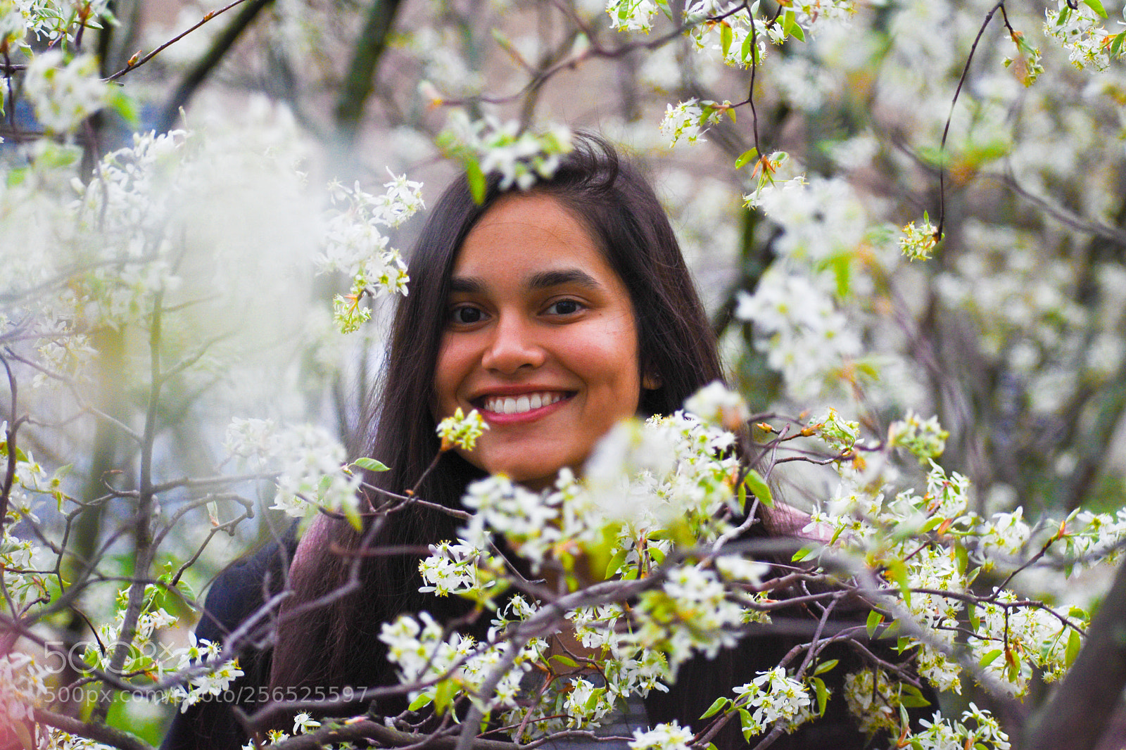 Nikon D3400 sample photo. Flower photography