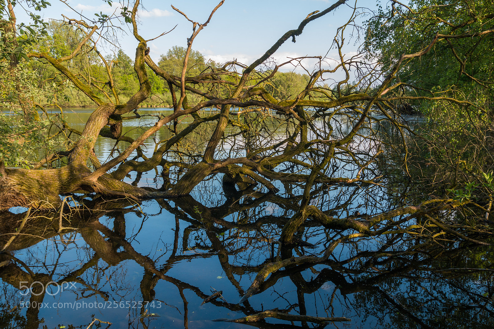 Canon EOS 70D sample photo. Im auge des betrachters photography