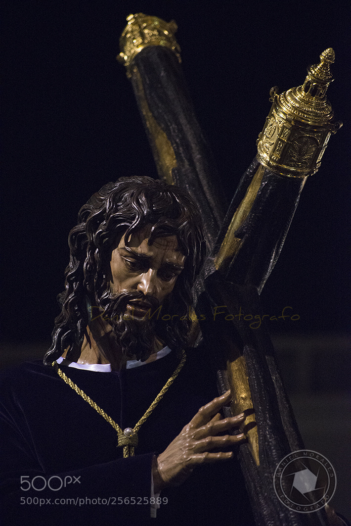 Nikon D610 sample photo. Jes s de la photography