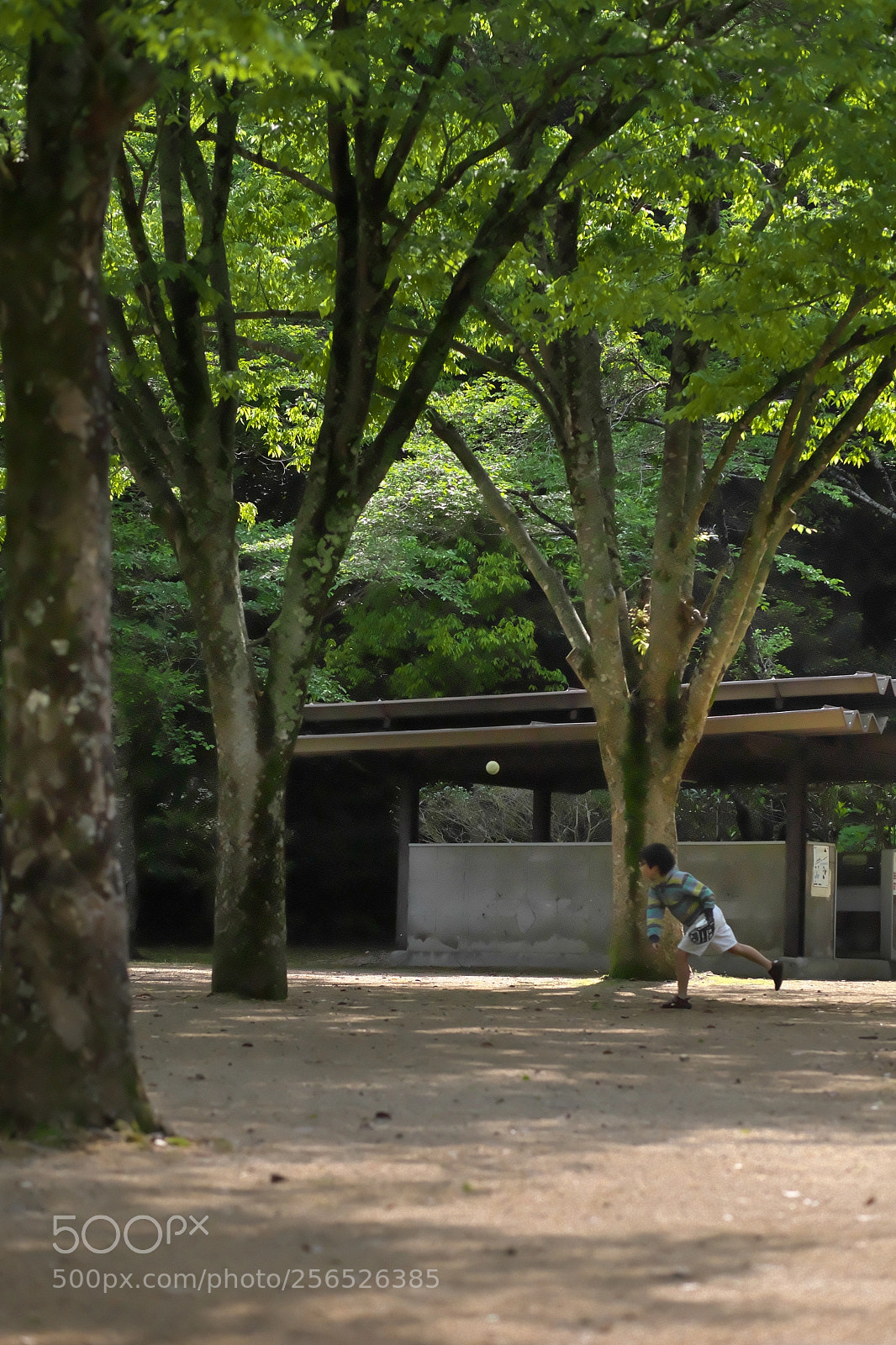 Canon EOS 5D Mark II sample photo. A boy's throw photography