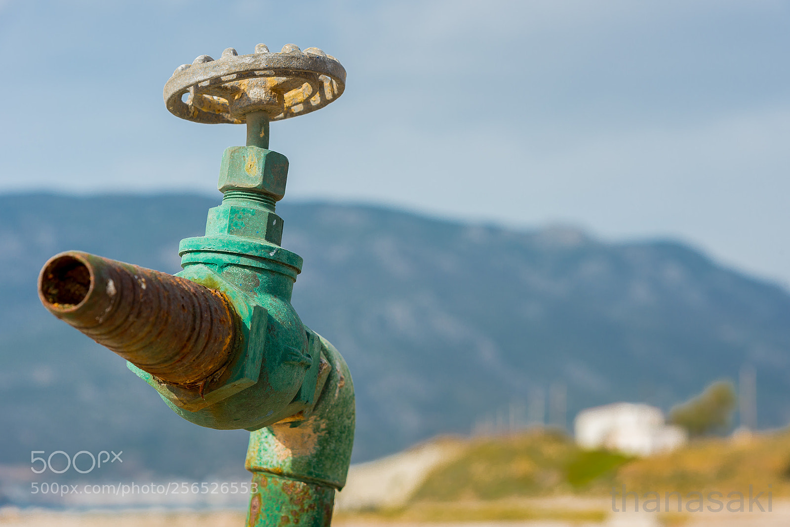 Nikon D750 sample photo. The tap photography