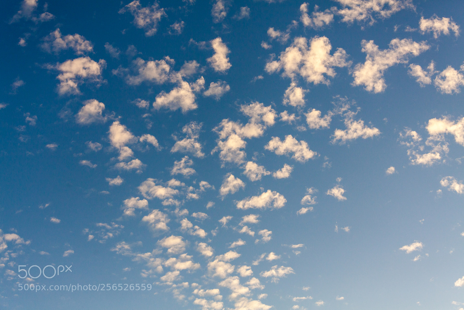 Canon EOS 5D Mark II sample photo. Untitled photography