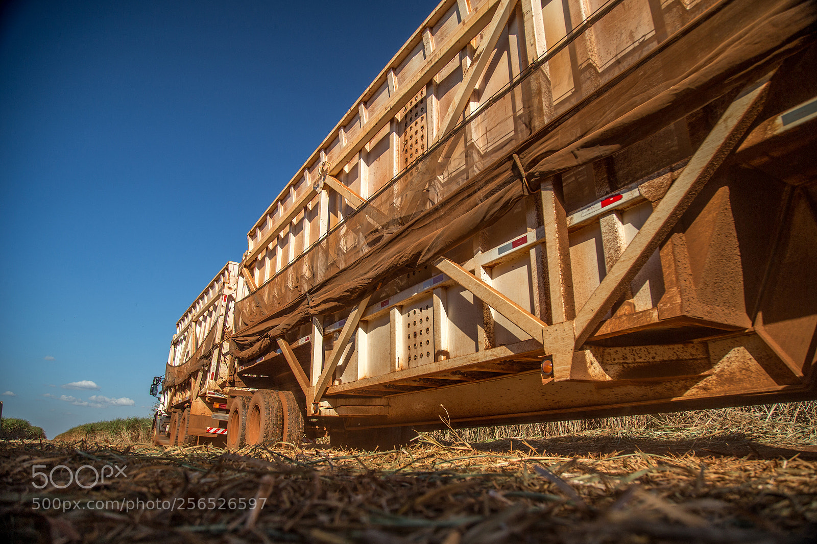 Canon EOS 6D sample photo. Sugar cane hasvest plantation photography