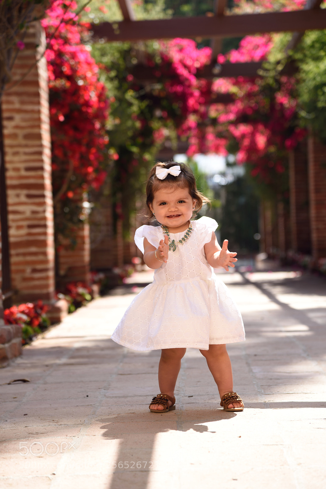 Nikon AF-S Nikkor 24-120mm F4G ED VR sample photo. Sanjuan mission () photography