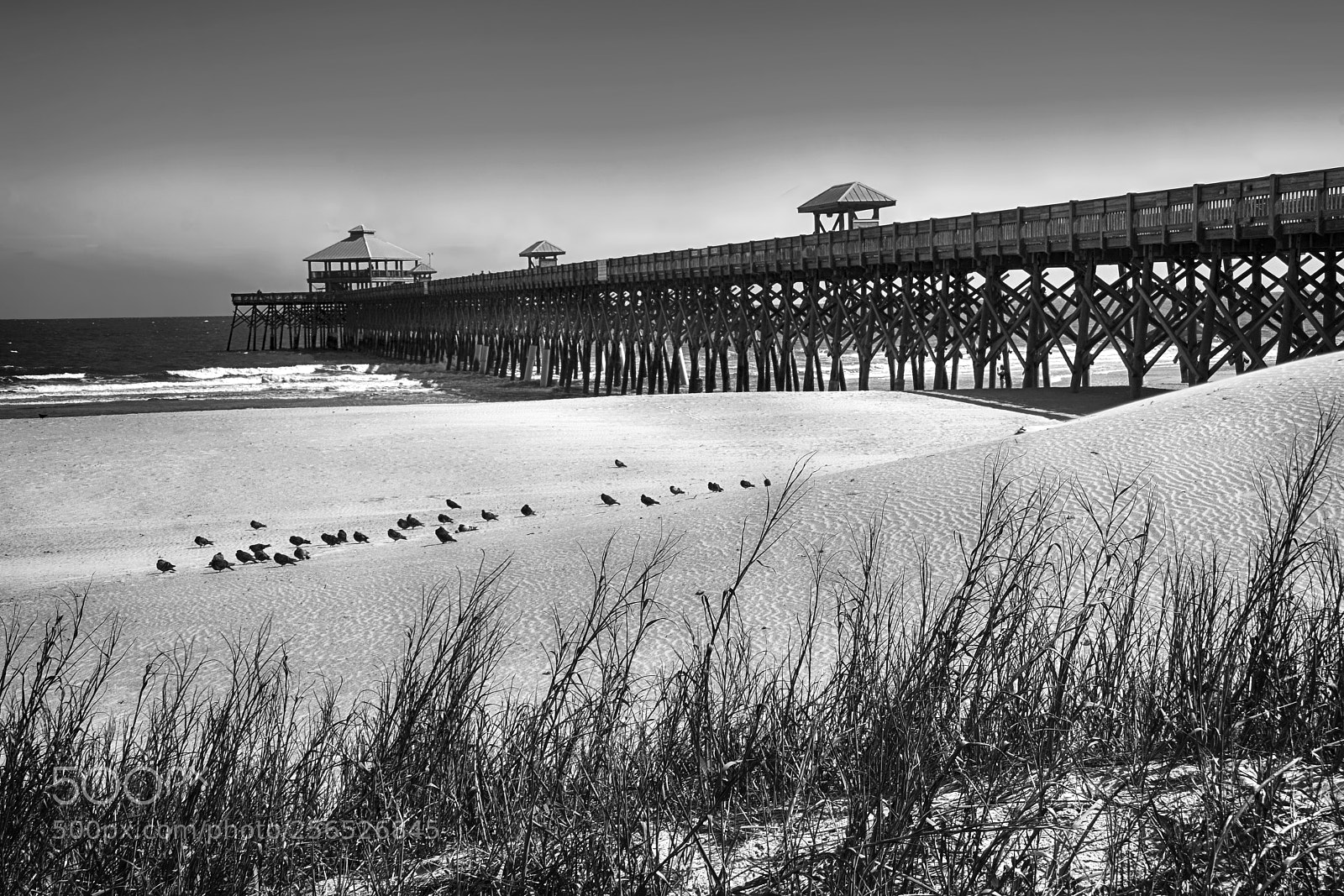 Nikon D7200 sample photo. Folley beach pier photography
