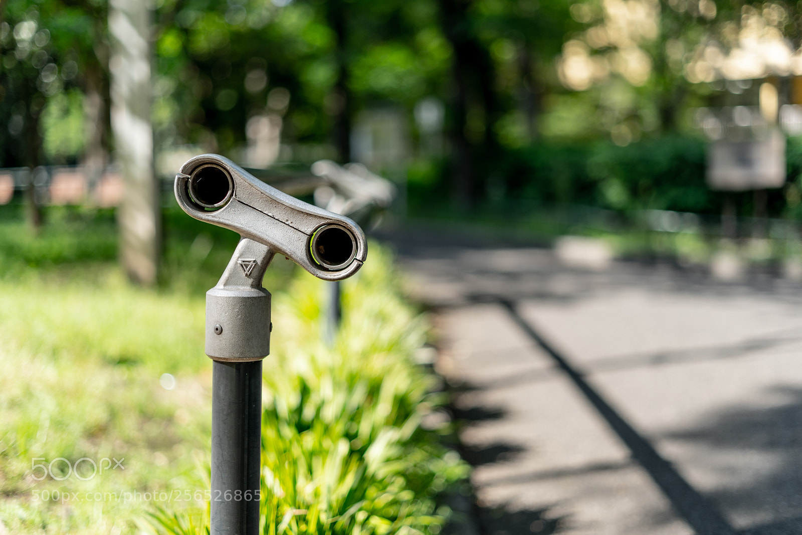 Sony a7 III sample photo. Edit photography