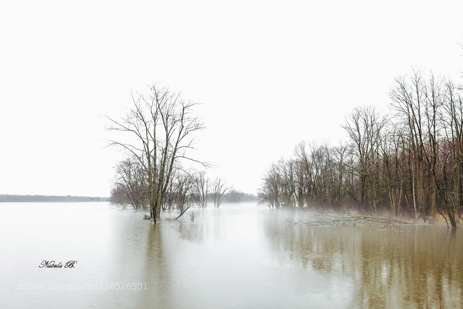 Canon EOS 5D Mark IV sample photo. A foggy, rainy day.... photography