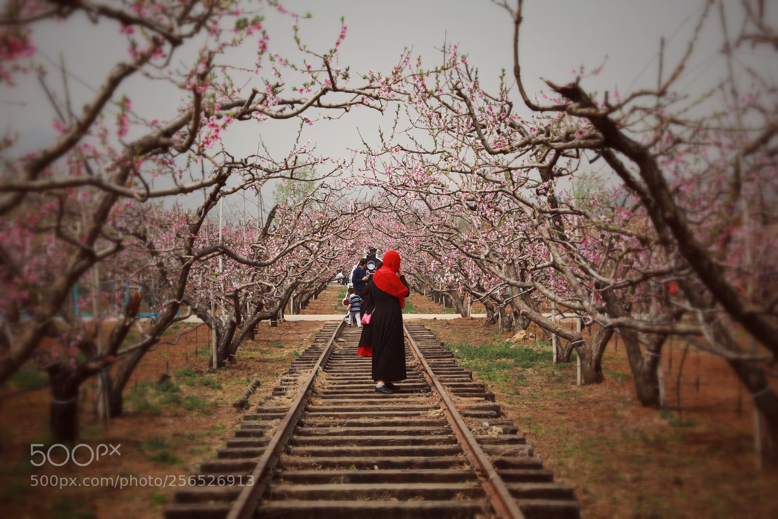 Canon EOS 5D Mark IV sample photo. Untitled photography