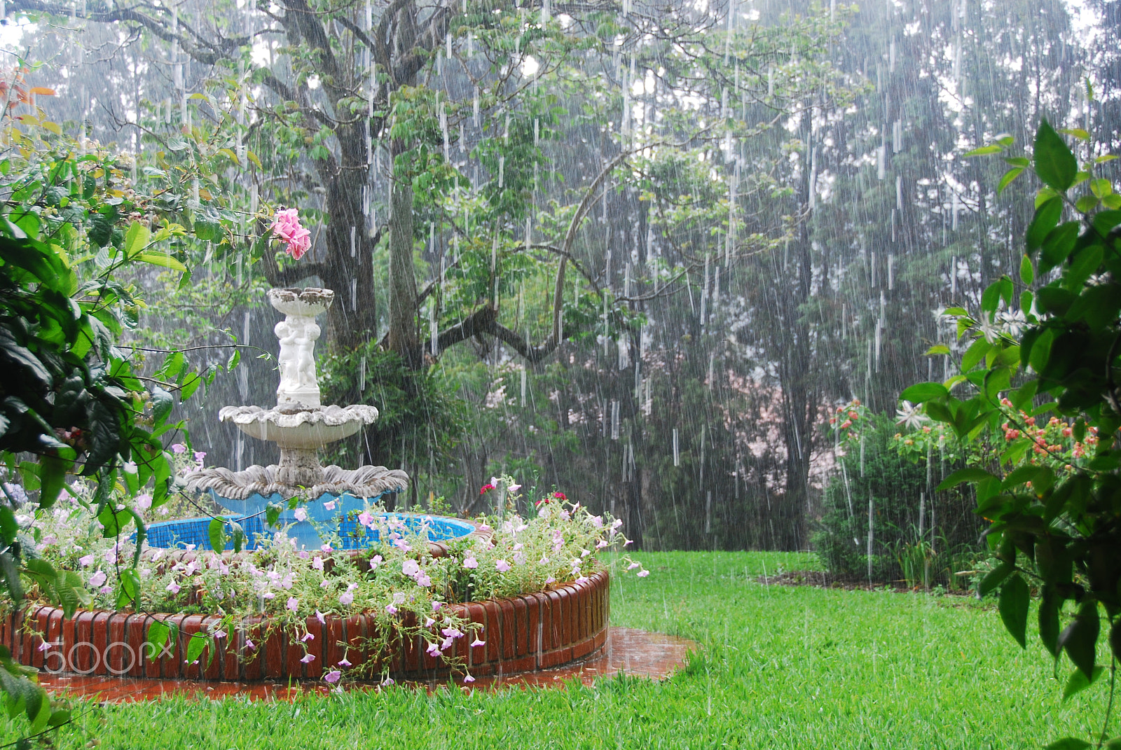 Nikon D40X sample photo. Rain over pond photography